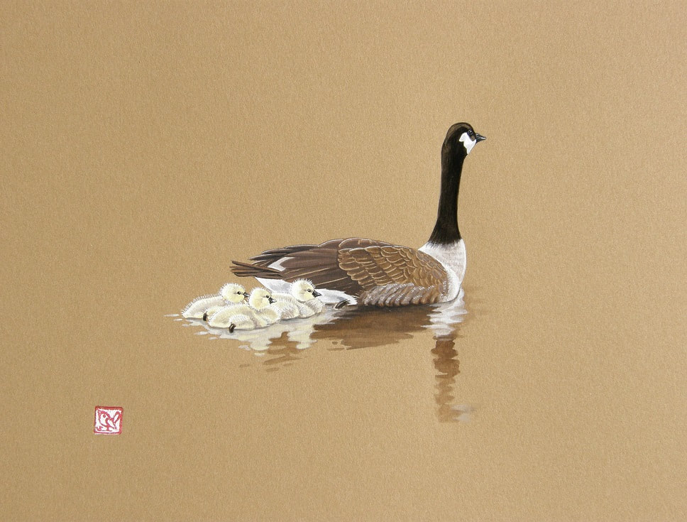 Mother Goose - Canada Goose & Gosling (8 x 10 inches) Guache on toned paper